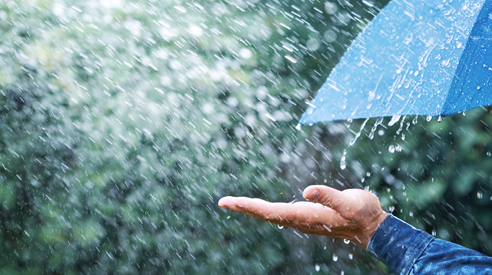Schutzlose KMU: nur zehn Prozent sind Inhaber eingetragener Rechte ihres geistigen Eigentums
