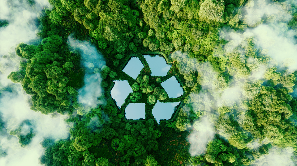 Als kleines Rad im Getriebe das große Ganze antreiben