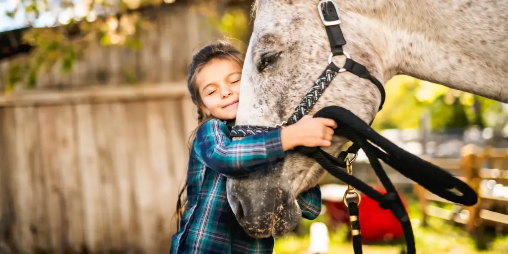 Beim Reitunterricht sind die Hürden hoch