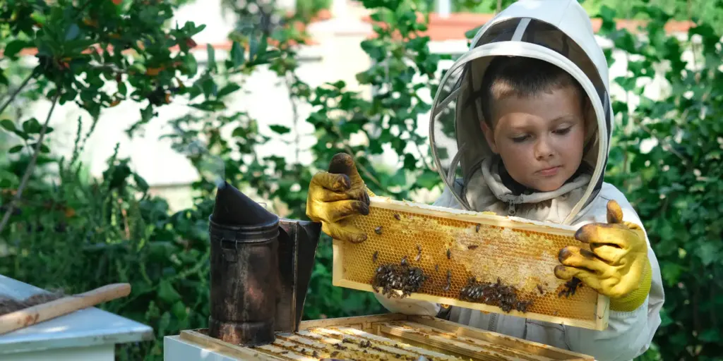 Sozialversicherung für Imker