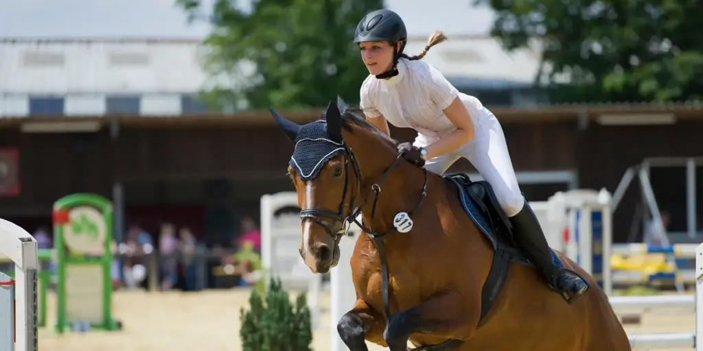 Platzierungsabhängige Preisgelder 