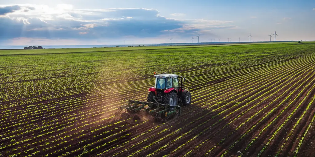 Verpachtete Ackerflächen bleiben bei der Erbschaftsteuer oft begünstigt